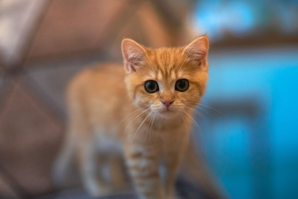 Photograph by Сергей