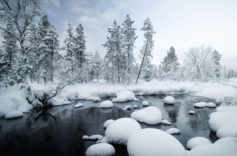 Photograph by Tatiana Meshcheryakova