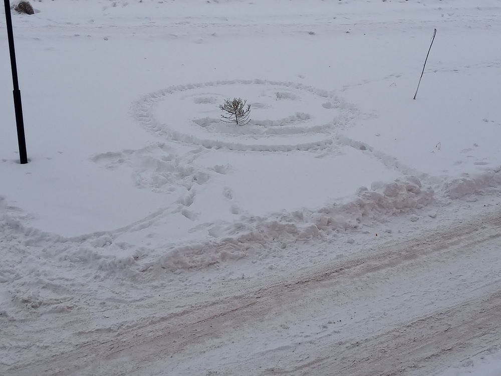 Photograph by Александр Гришин