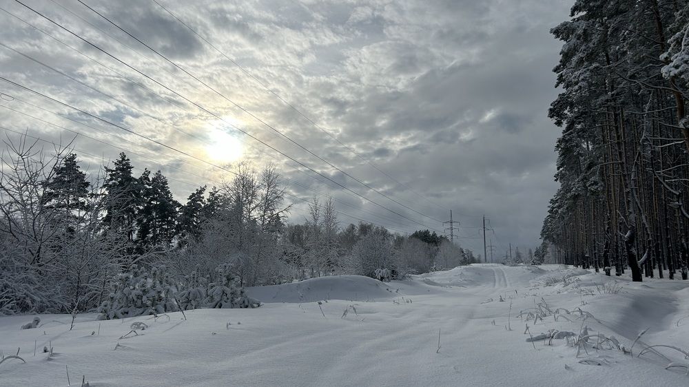 Photograph by Елена Гущина