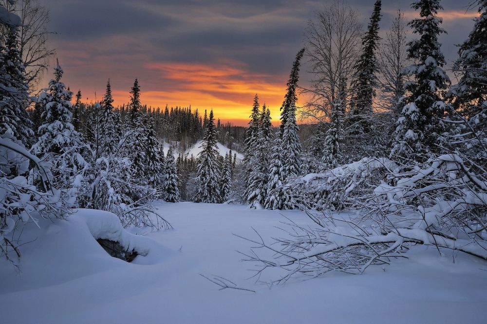 Photograph by Галина Хвостенко