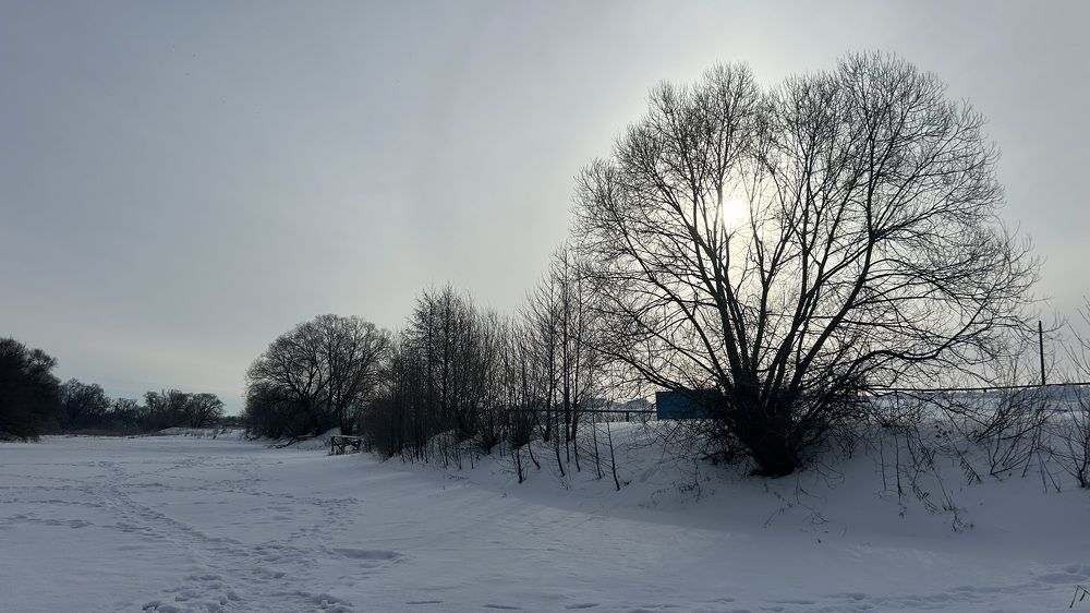 Photograph by Елена Гущина