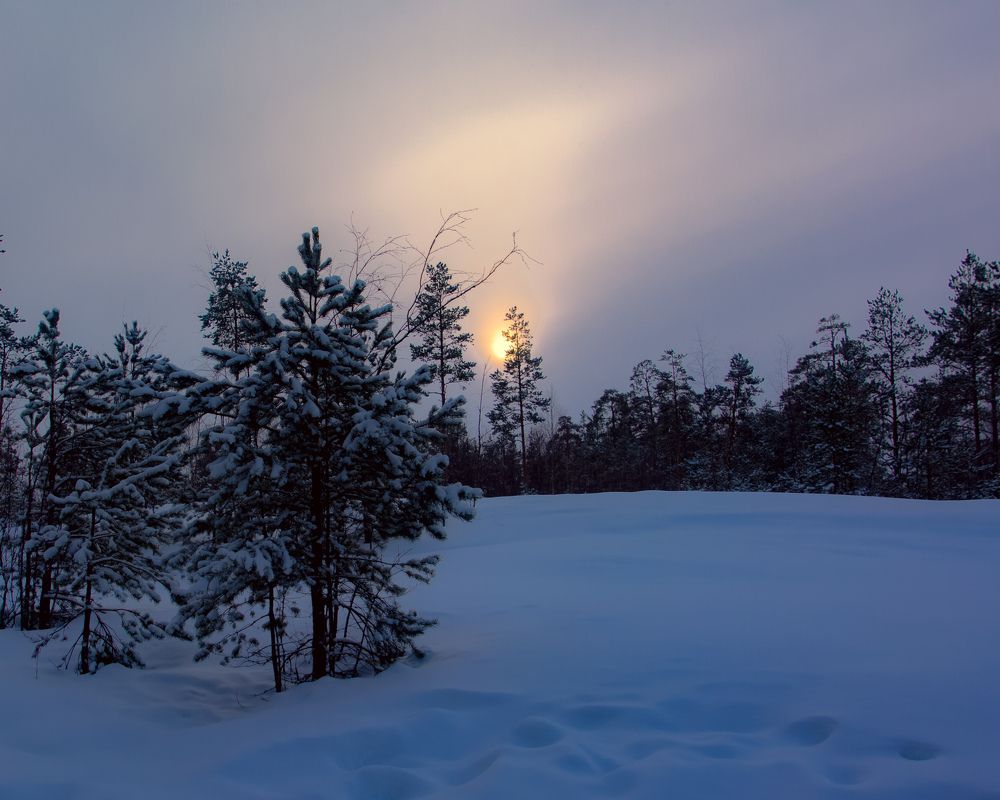 Photograph by Кирилл Рог