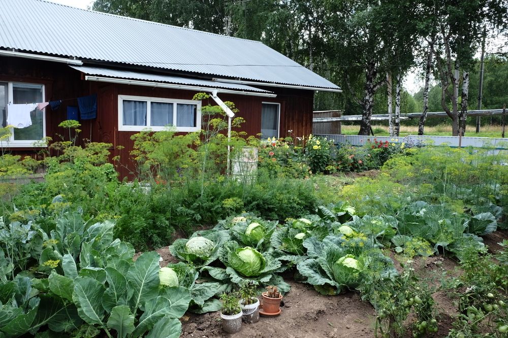 Photograph by Екатерина Хозяшева