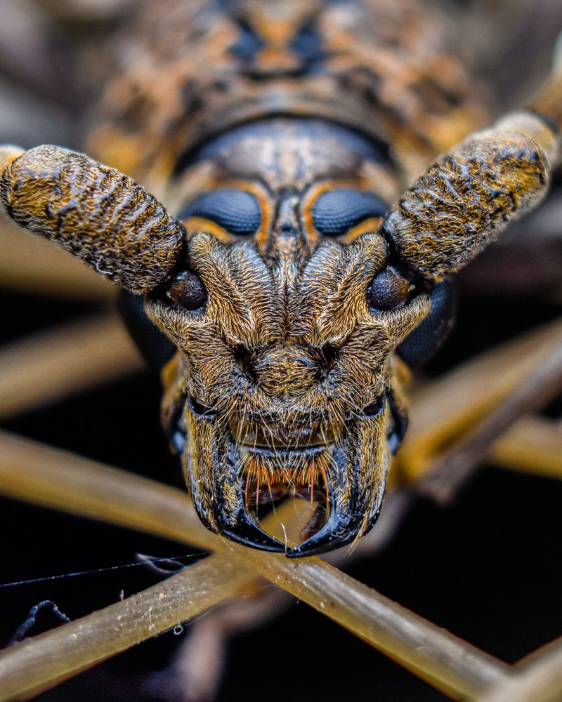 Photograph by ANU K MURALEEDHARAN