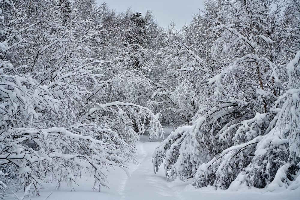 Фотография автора Viktoriya Kim