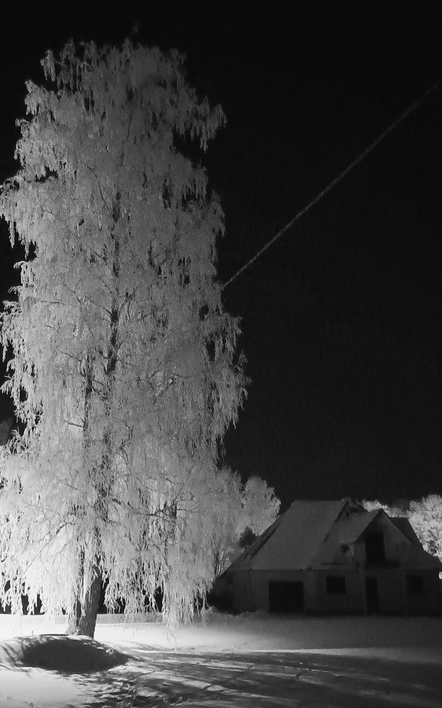 Photograph by ILONA OTRUTSKAYA