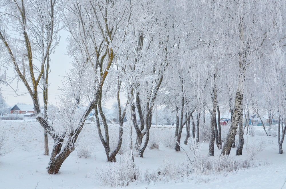 Фотография автора Olga Belikova