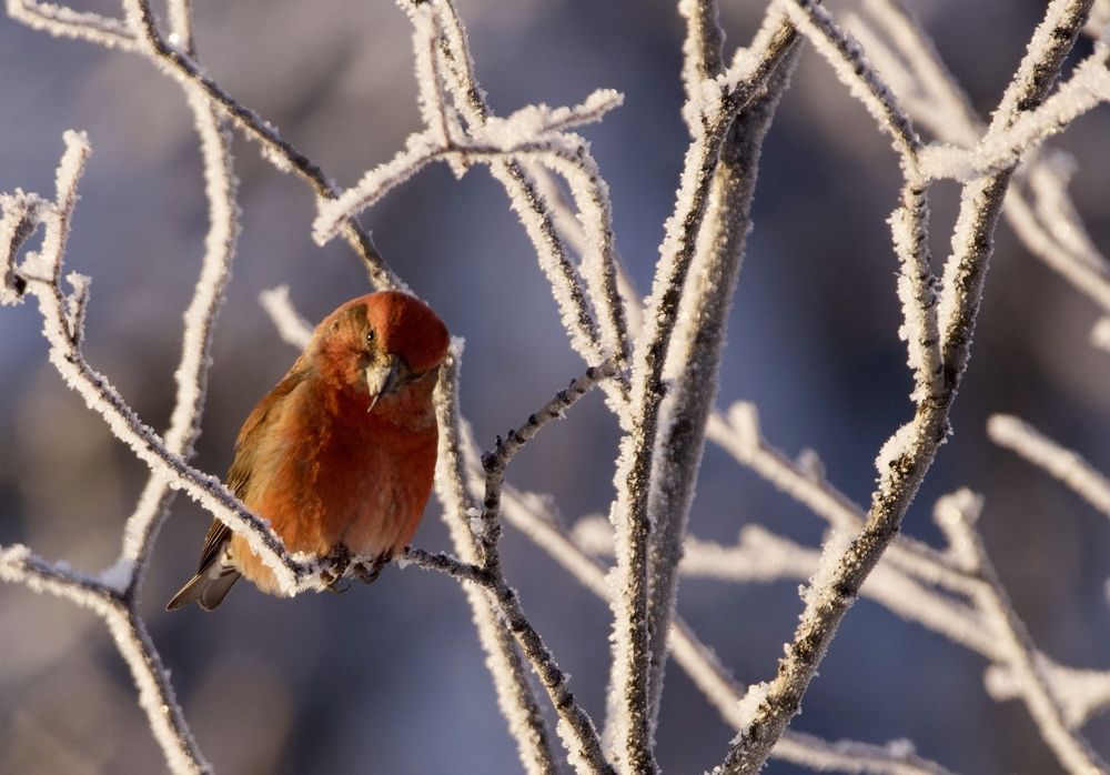 Фотография автора Viktoriya Kim