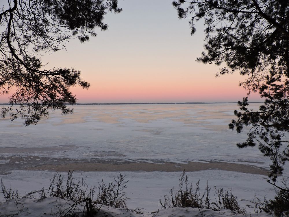 Розовые дали / The Pink Yonder