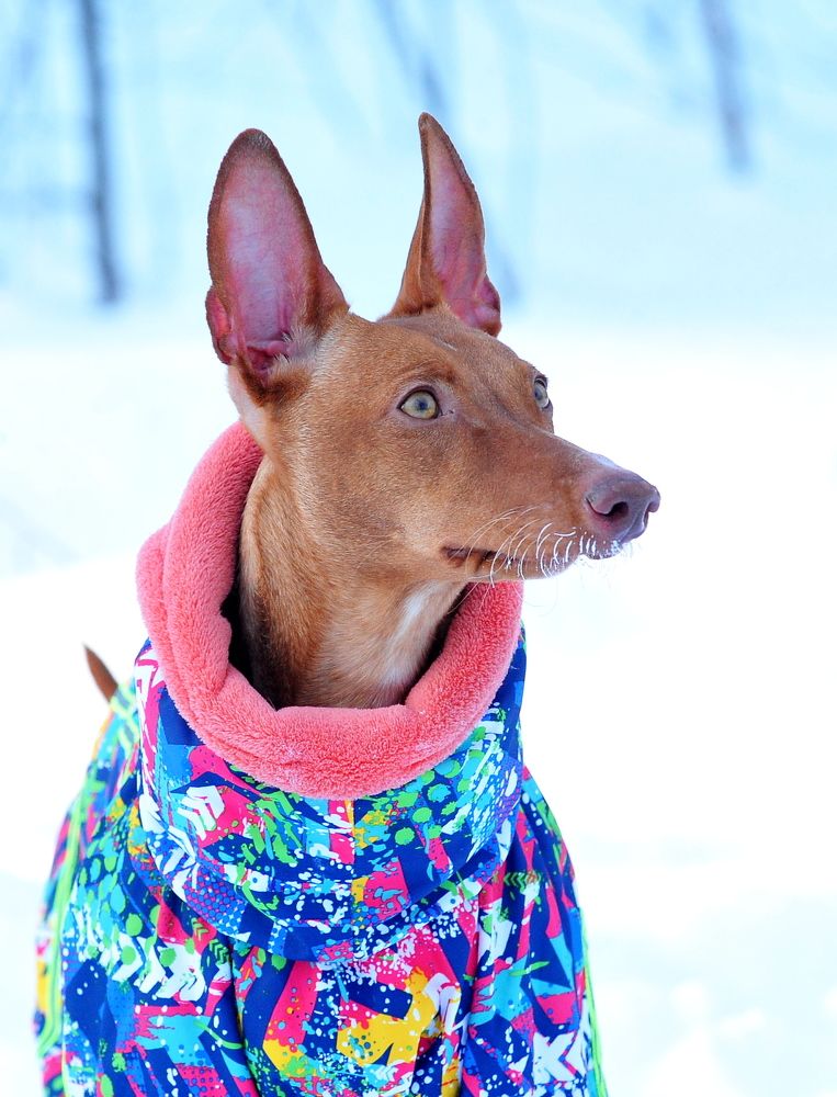 Photograph by Алексей Козлов