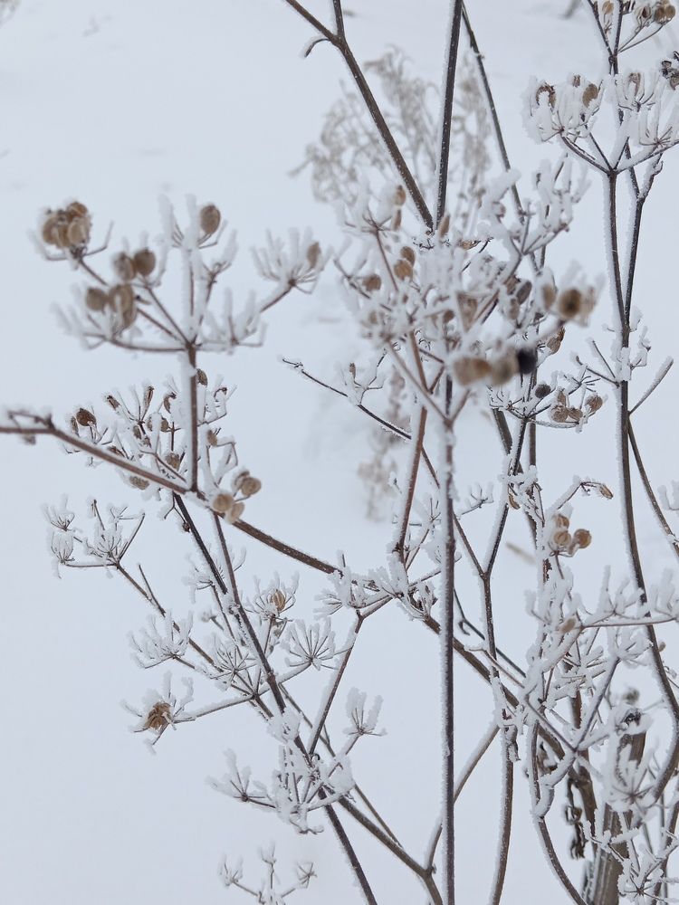 Photograph by Наталья