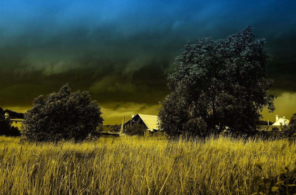 Photograph by Nikolay