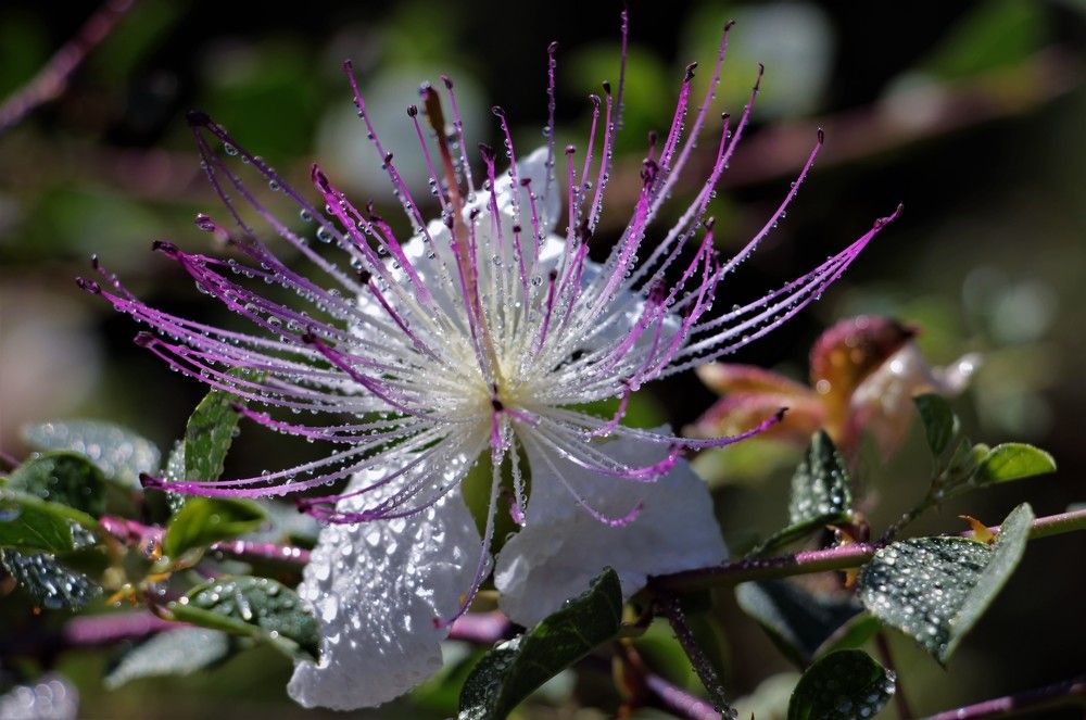 Photograph by Людмила Бутова