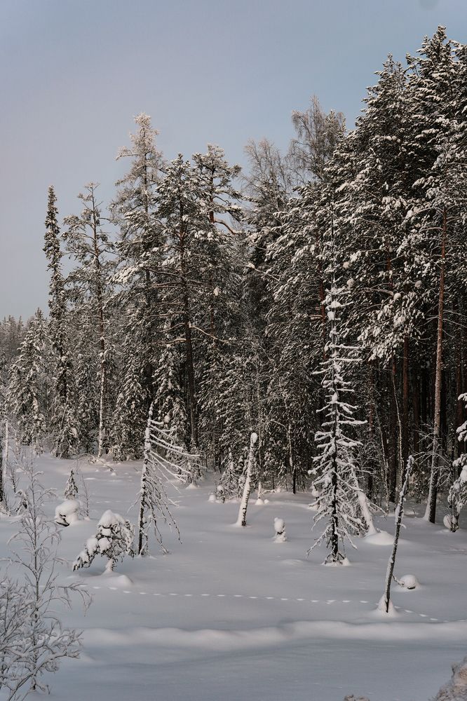 Photograph by Y.u.z.a.k