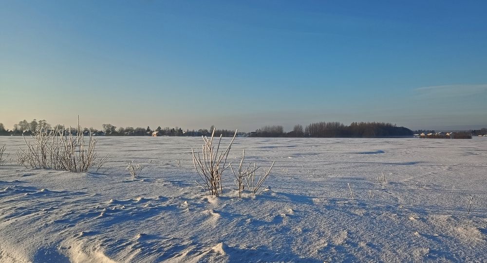 Фотография автора Сергей Старицын