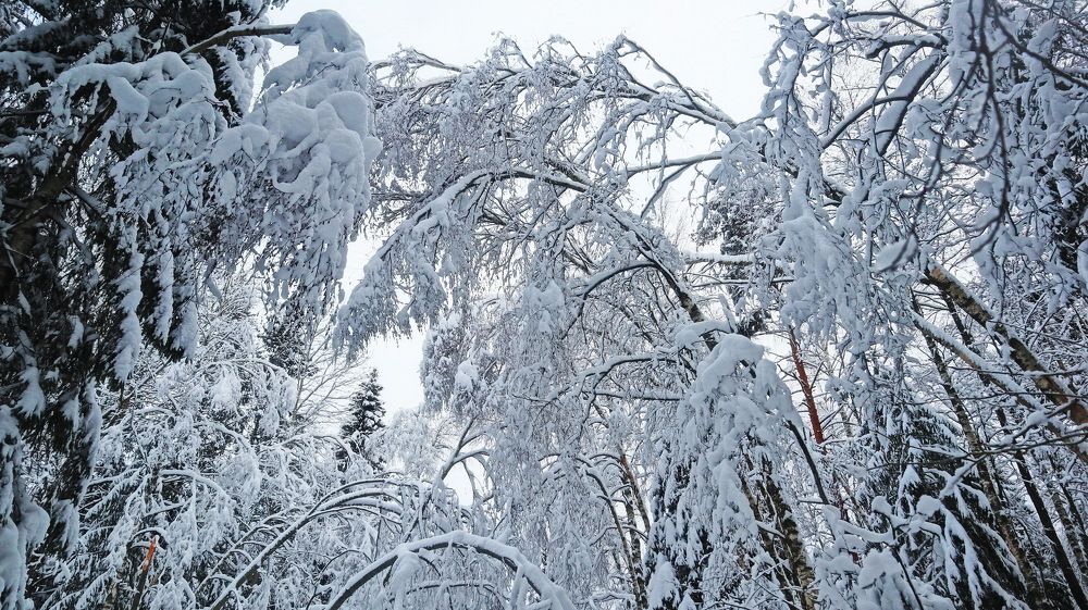 Фотография автора Сергей Старицын
