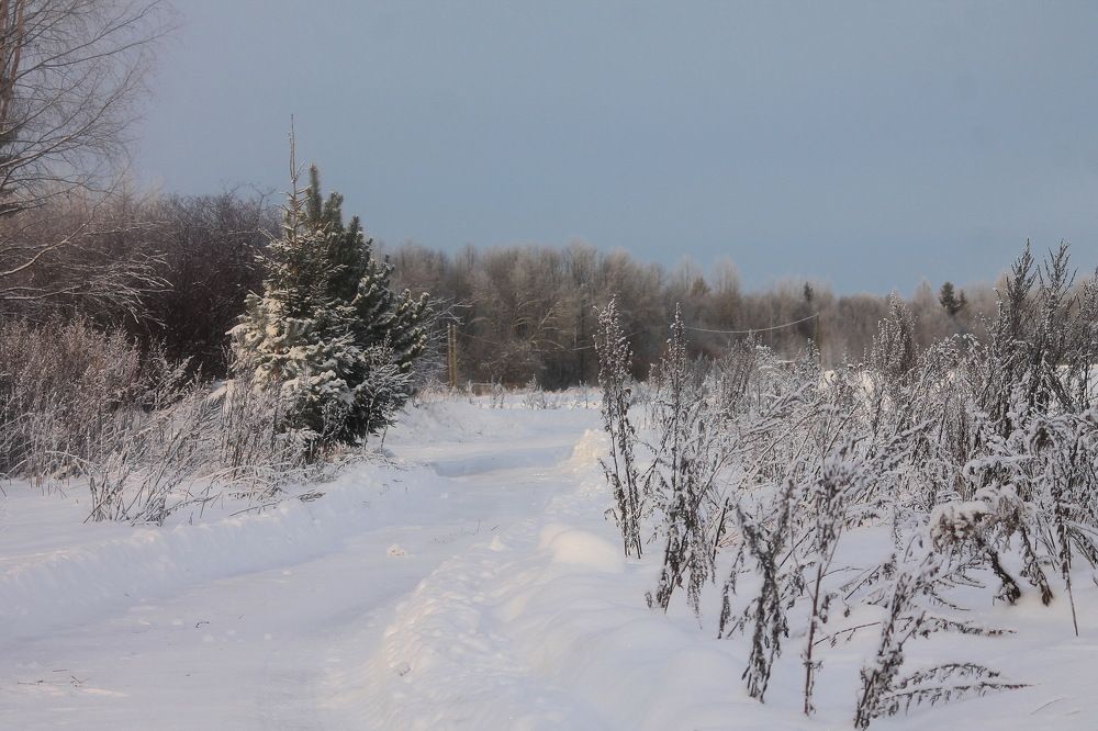 Фотография автора Сергей Старицын