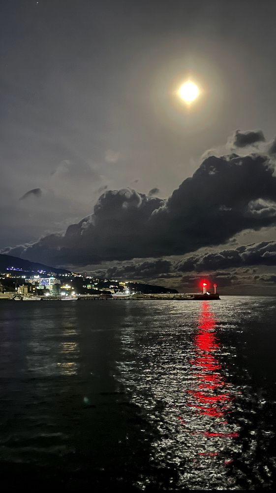 Photograph by Лиса