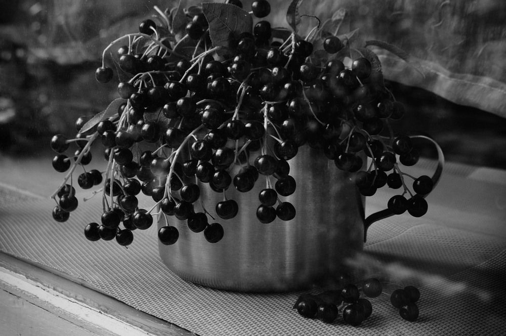 Необыкновенная черемуха