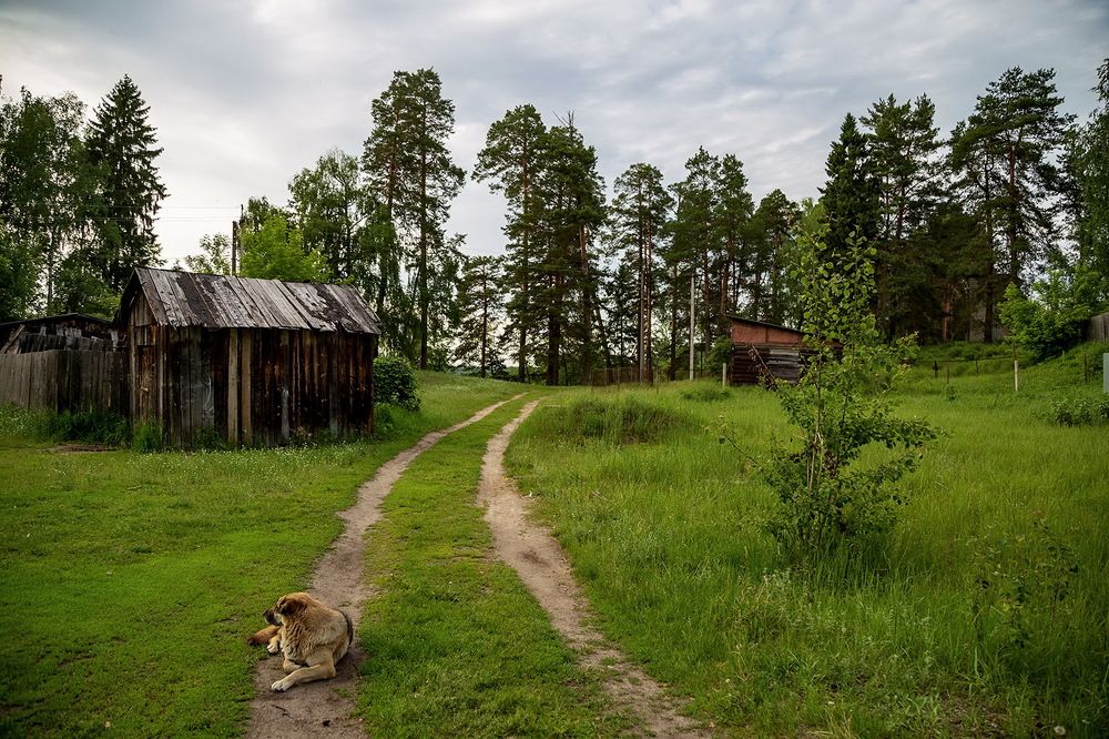 Photograph by Галина Чепиль