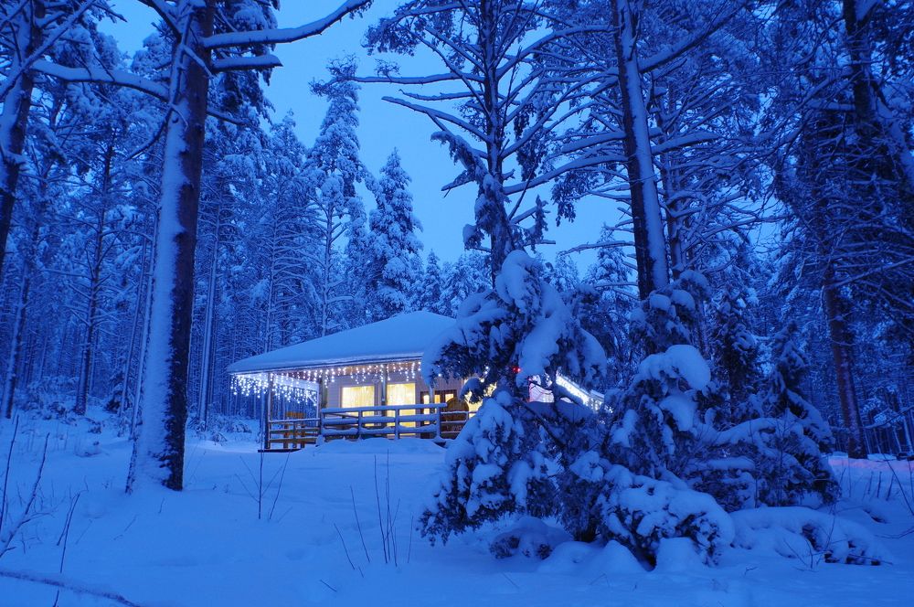 Photograph by Дмитрий Смирнов