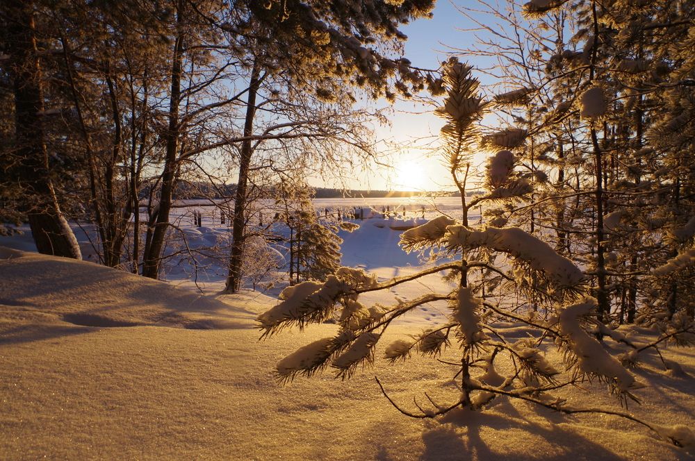 Photograph by Дмитрий Смирнов