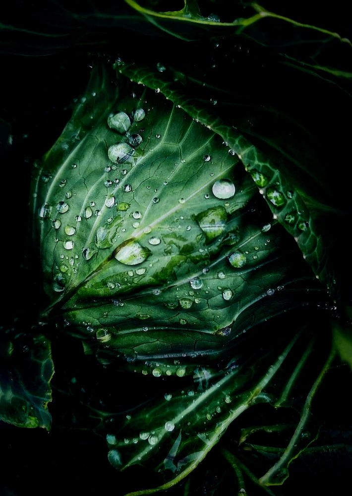 Photograph by Светлана Перминова