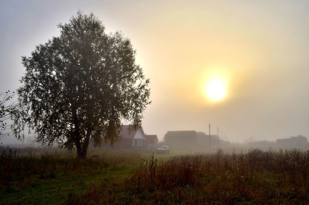 Утро в деревне.
