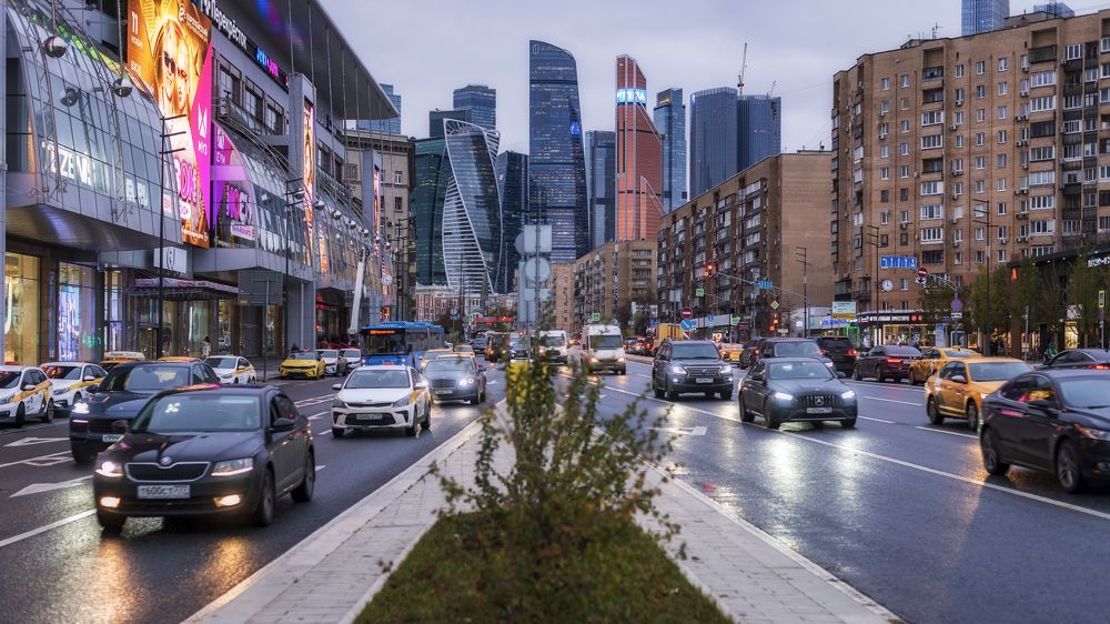 Про городские джунгли