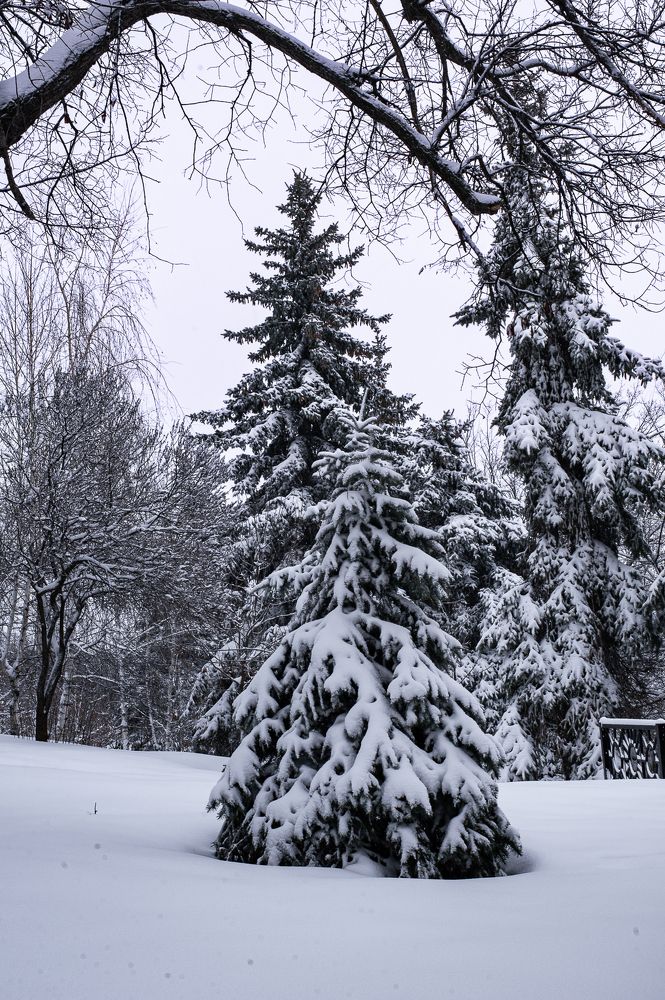 Фотография автора Елена Ефименко