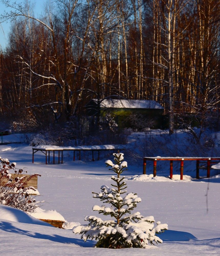 Photograph by ОЛЬГА ДЕРБЕНЕВА