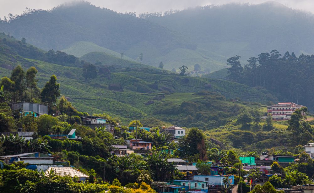 Photograph by Susobhan Biswas
