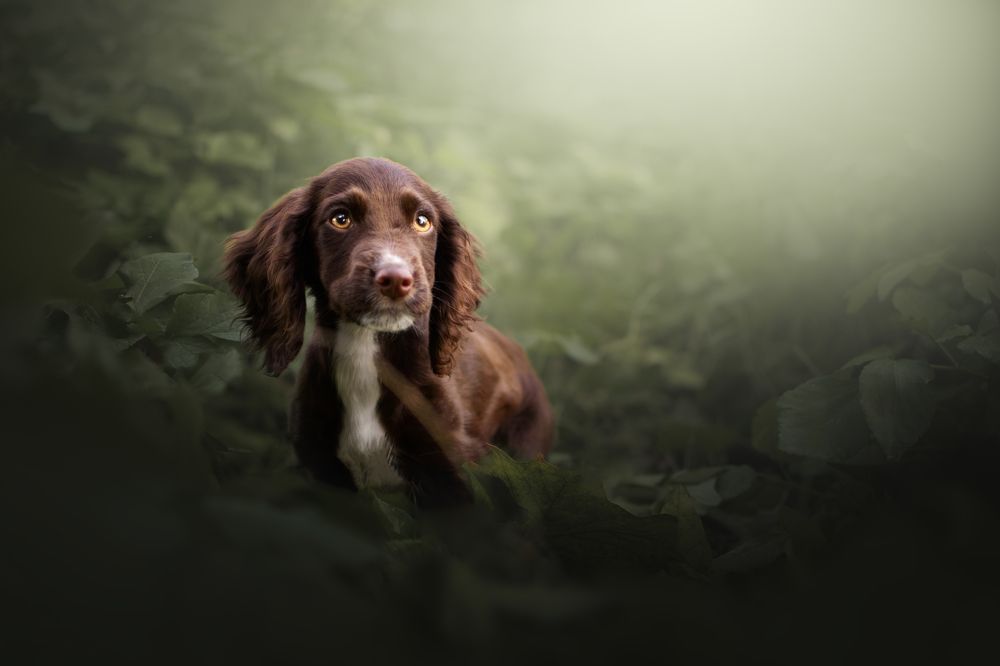 Photograph by leticia pascual garcia