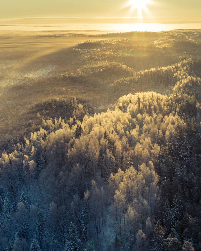 Photograph by Nikolai Mordan