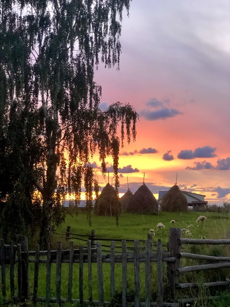 Photograph by Елена Шведова