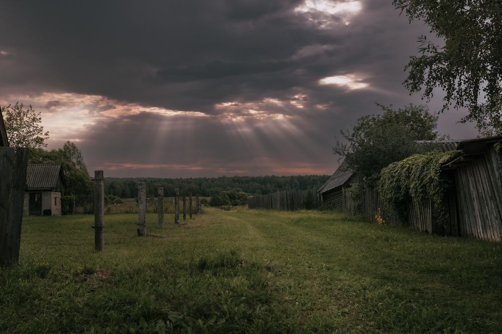 Photograph by Владимир Петухов