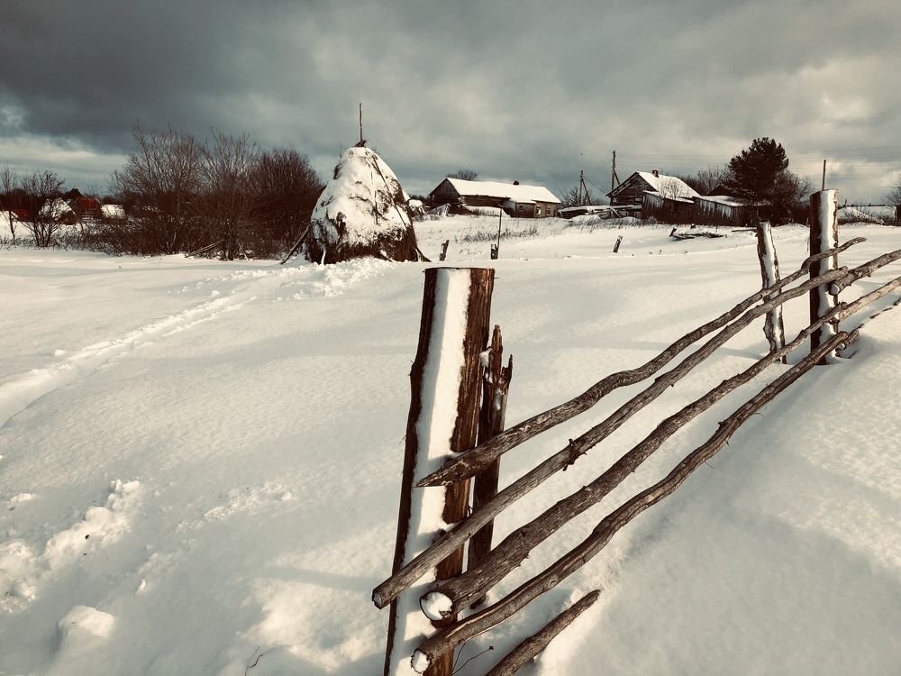 Photograph by Елена Шведова