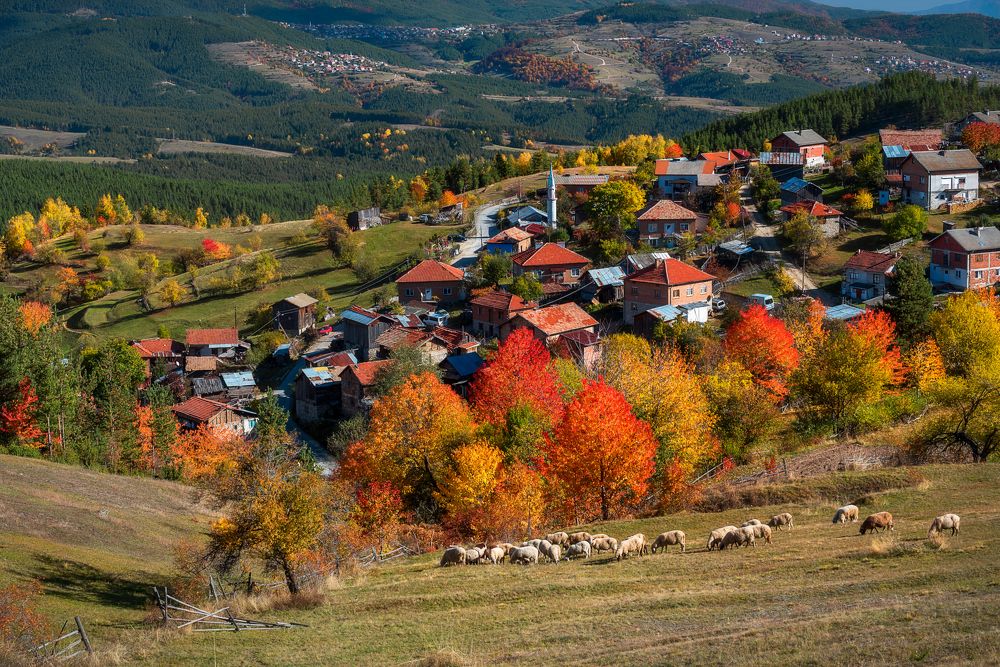 Фотография автора Mariyana Atanasova - Lucero