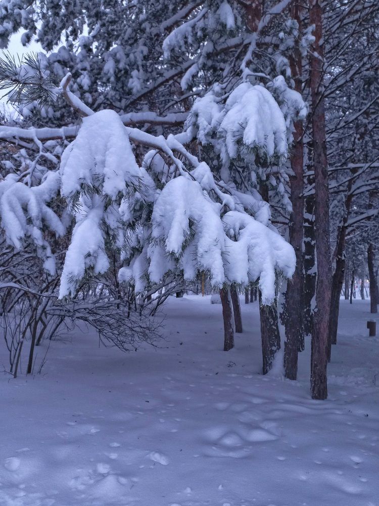 Photograph by Марина Егорова