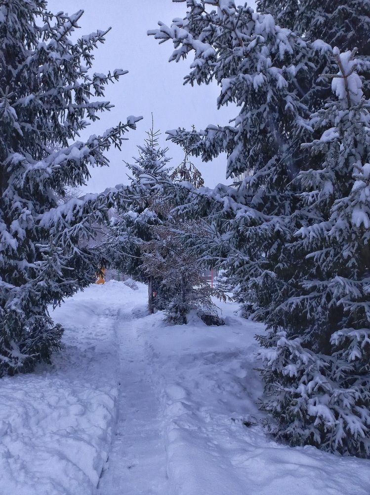 Photograph by Марина Егорова