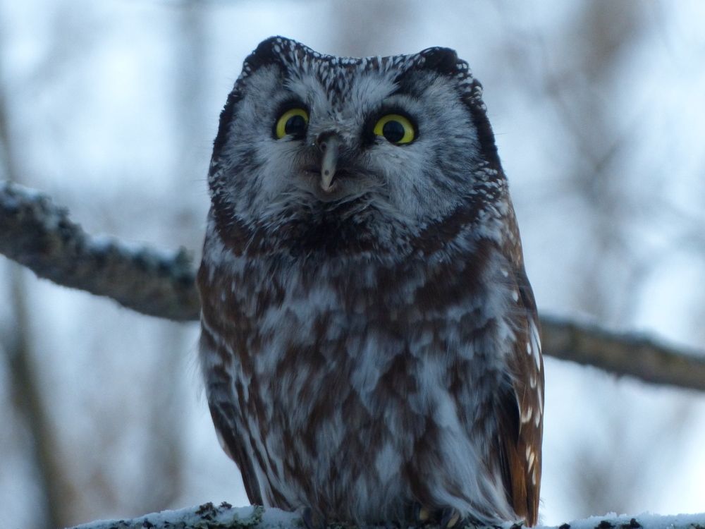 Photograph by Георгий Салюков