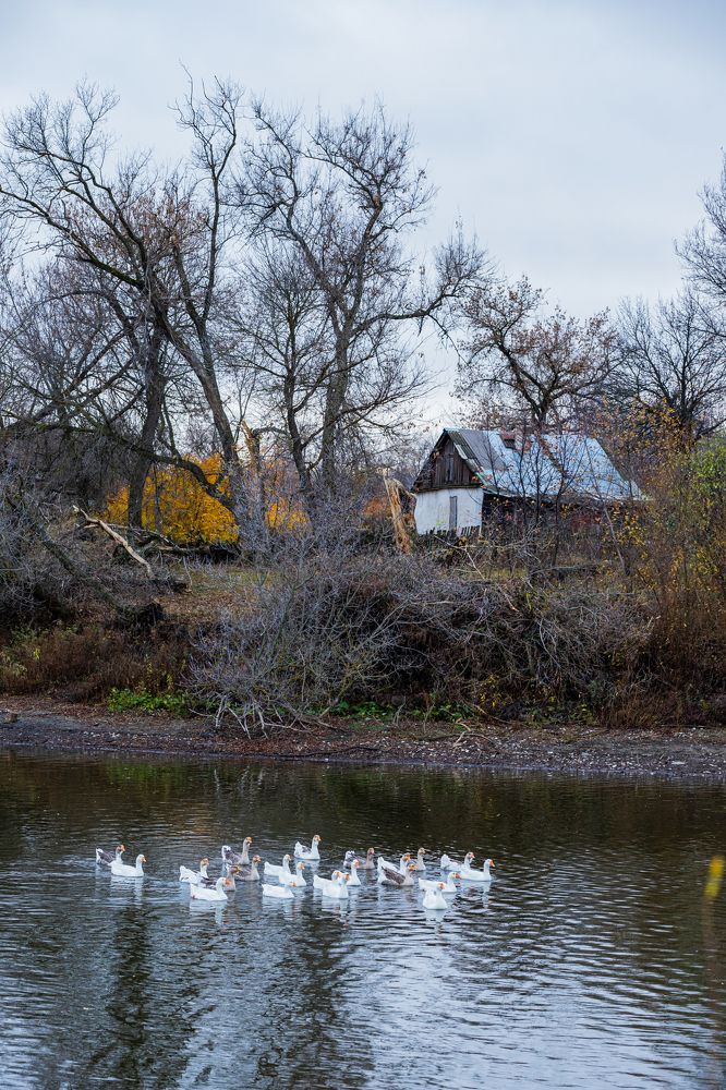 Photograph by Ирина Левакова