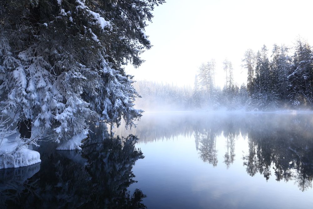 Photograph by Евгения Казакова