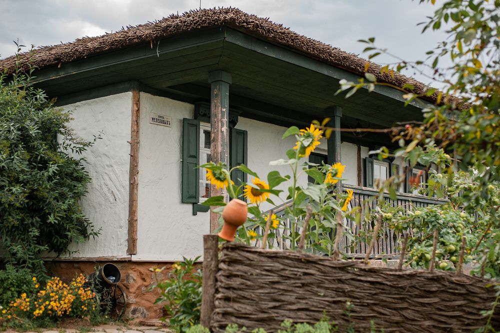 Фотография автора Елена Ефименко