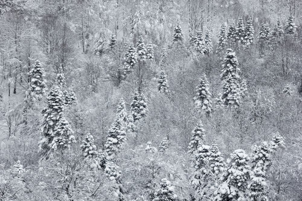 Photograph by Денис