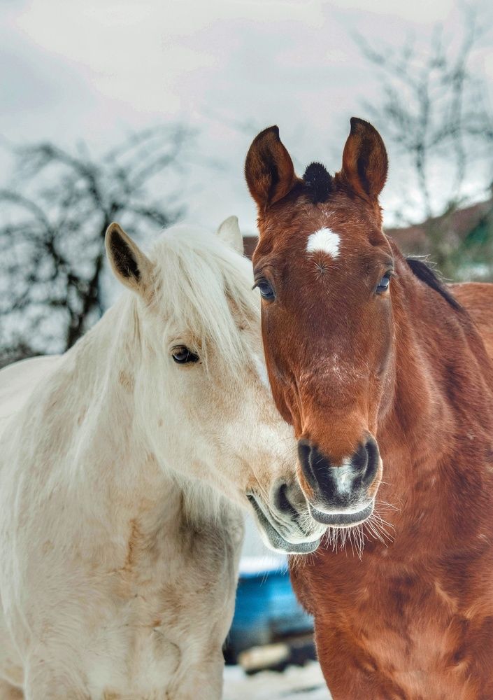 Photograph by Татьяна