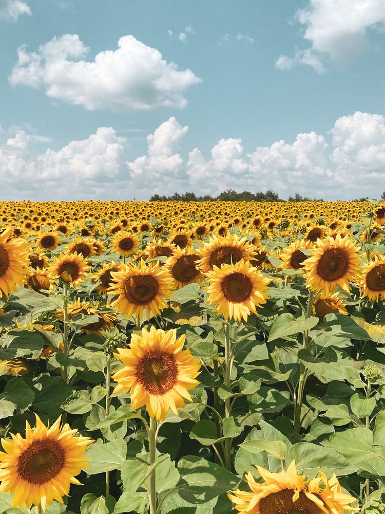 Photograph by Yuliana Shabovta