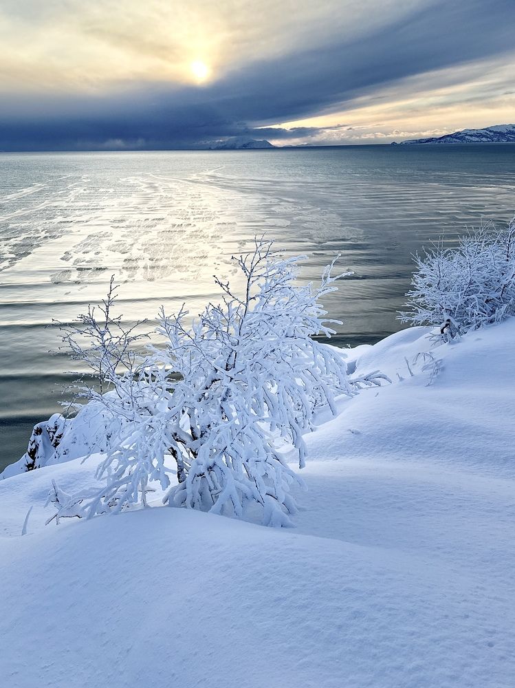 Photograph by Евгения Казакова