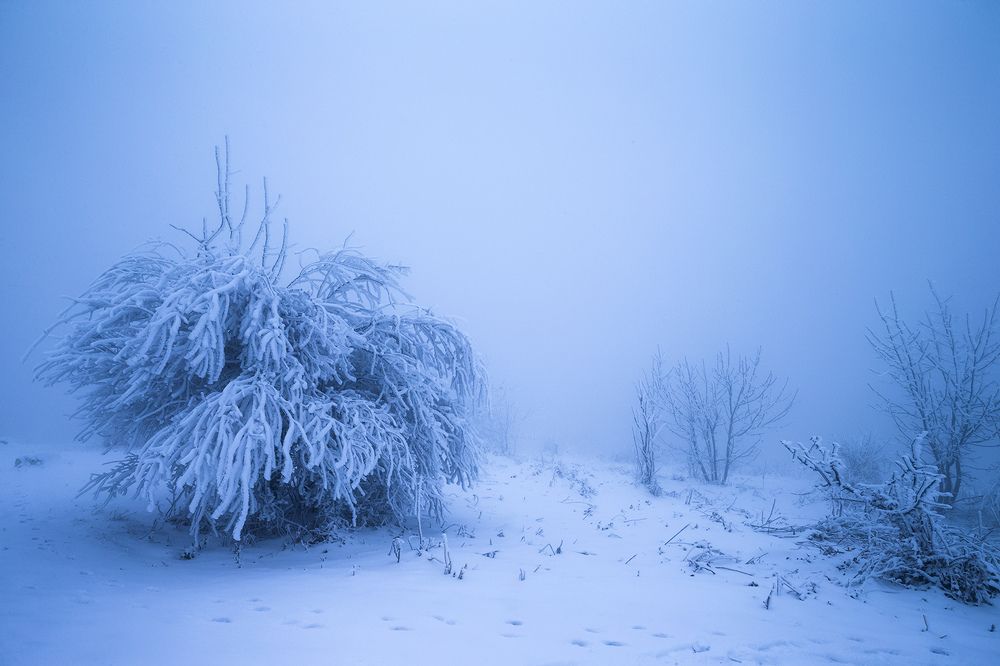 Фотография автора 